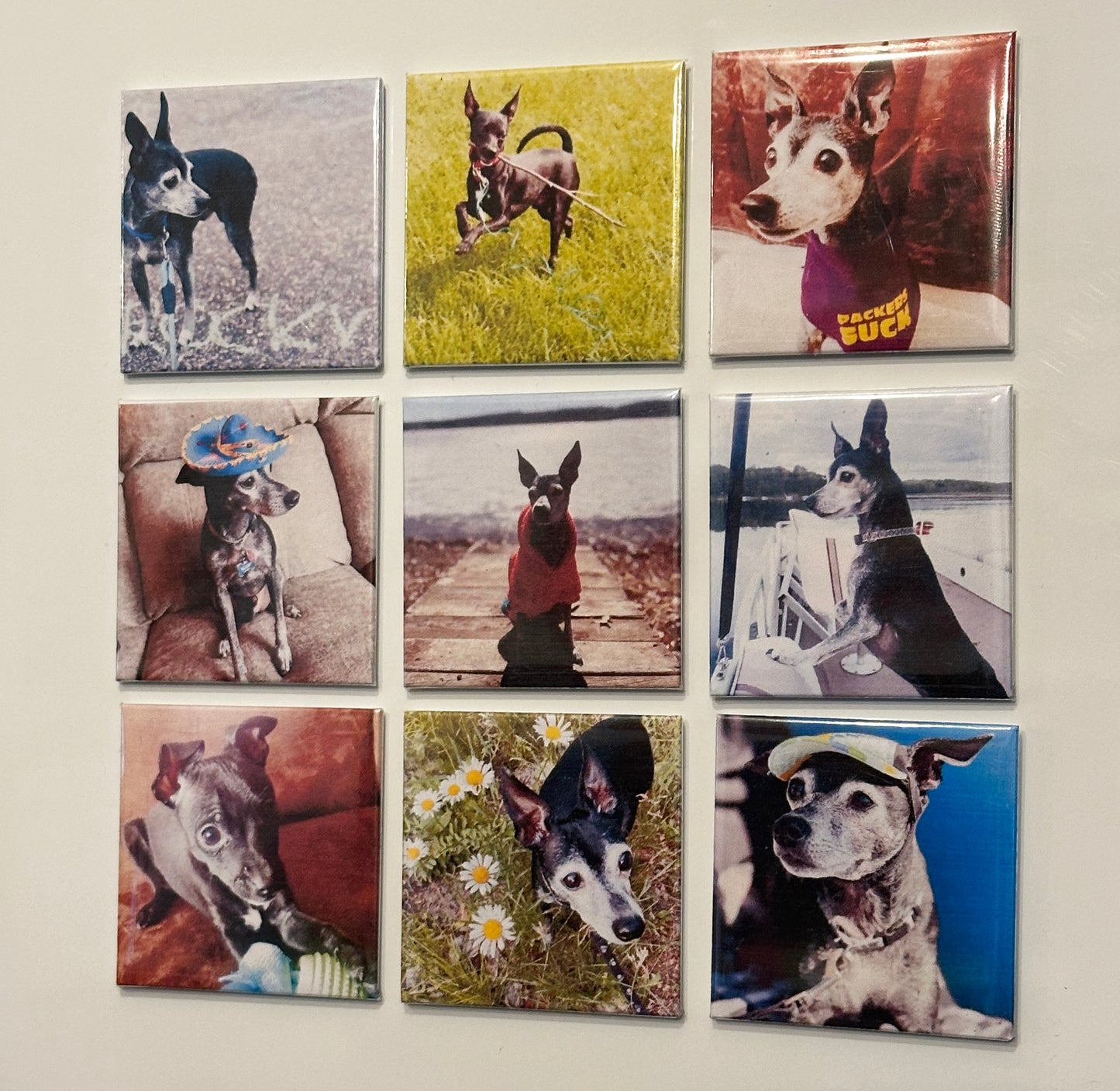 2"x2" Photo Magnets - Bulk Orders