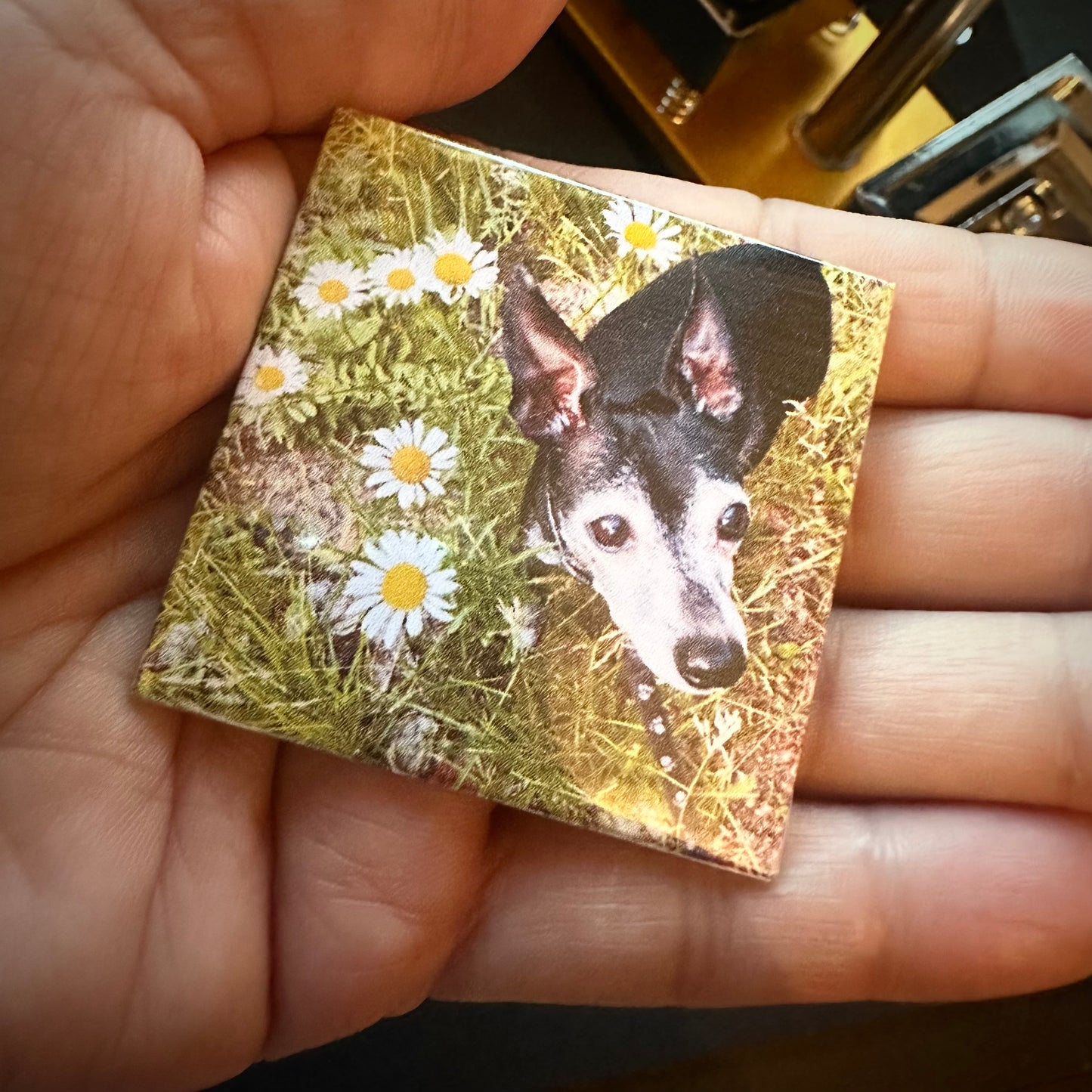 2"x2" Square Magnets (9)